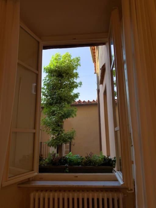 Via Nuova Apartments Lucca Ngoại thất bức ảnh